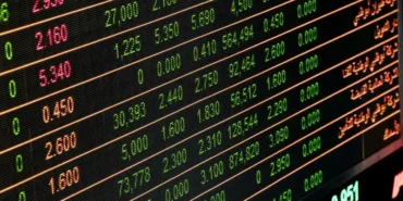 Kazdağları'nın Eteklerinden Toplanan Kuzugöbeği Mantarının Kilosu 1000 TL
